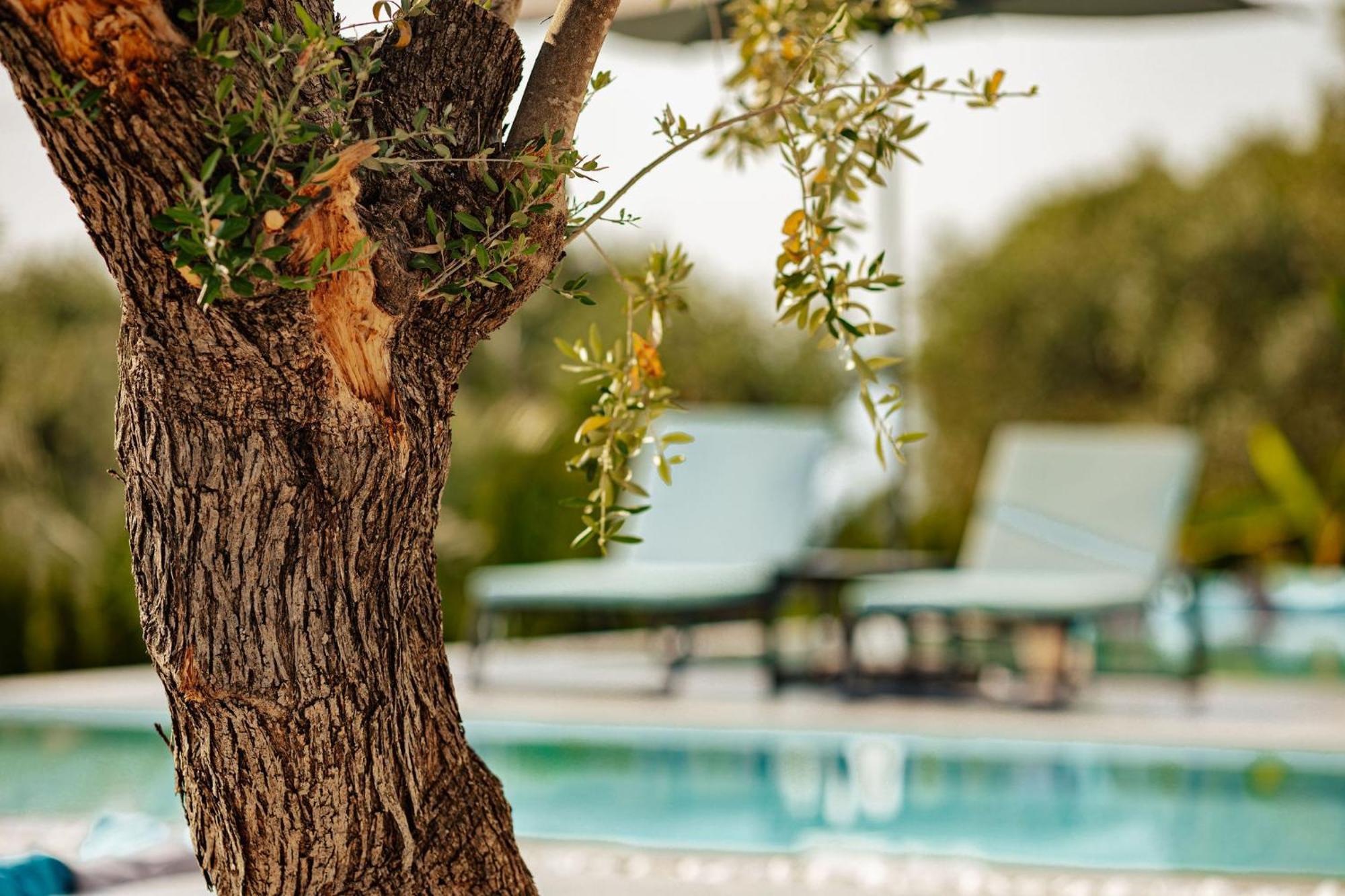 Nooa Villas Skala Rachoni  Exterior photo